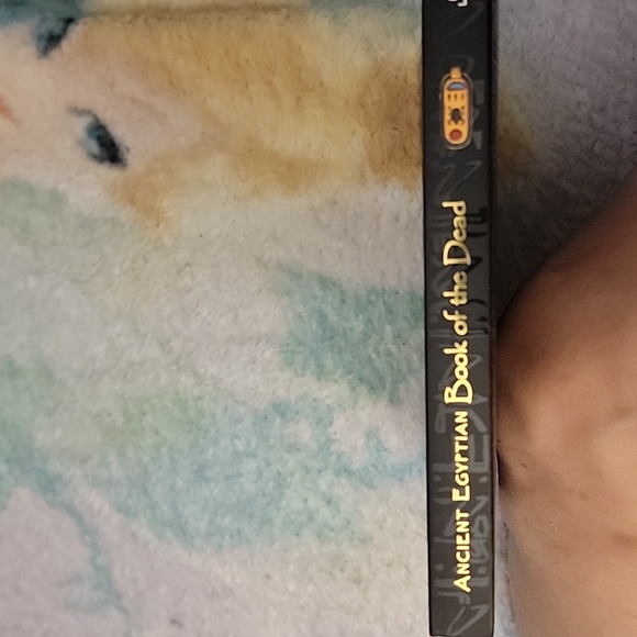 Ancient Egyptian Book of the Dead - Picture 3 of 4